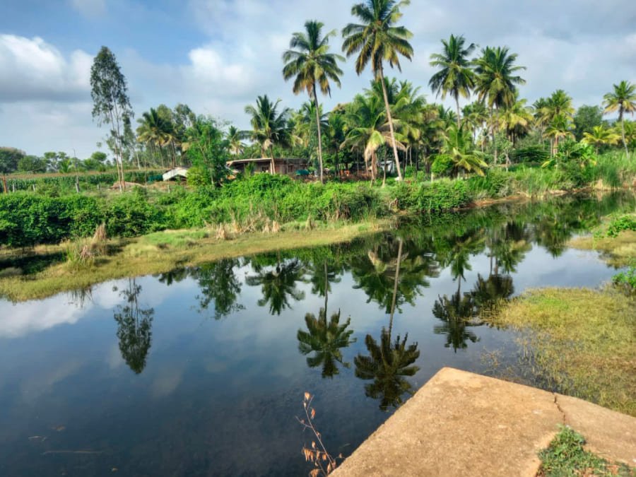 seascape-villa image